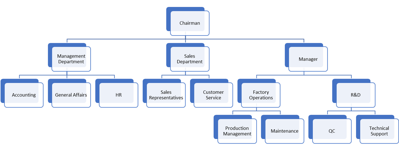 Company Organization